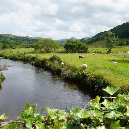 Sally's * Mullanmore