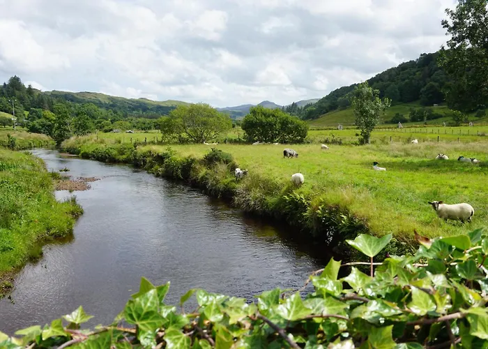 Sally's * Mullanmore